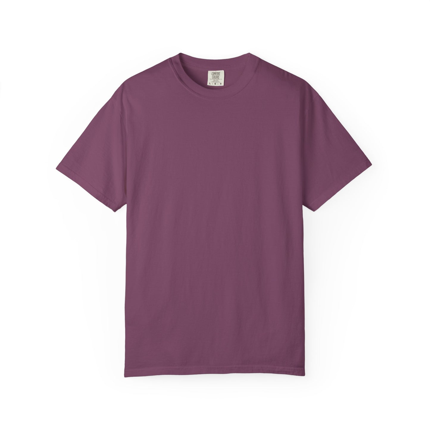 Statement T-Shirt — “MY EX is gay” Graphic Tee