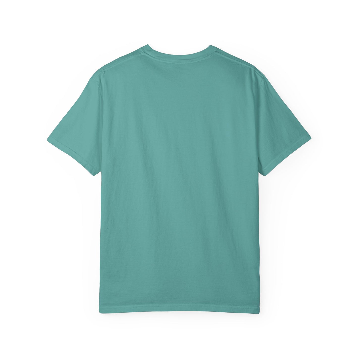 I  BBLs T-Shirt — Funny Cosmetic Surgery Graphic Tee