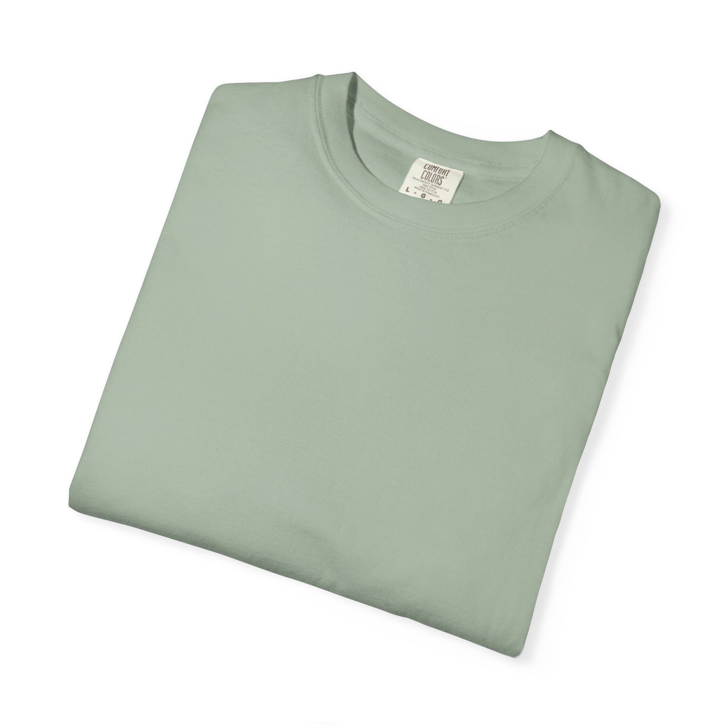 Statement T-Shirt — “MY EX is gay” Graphic Tee