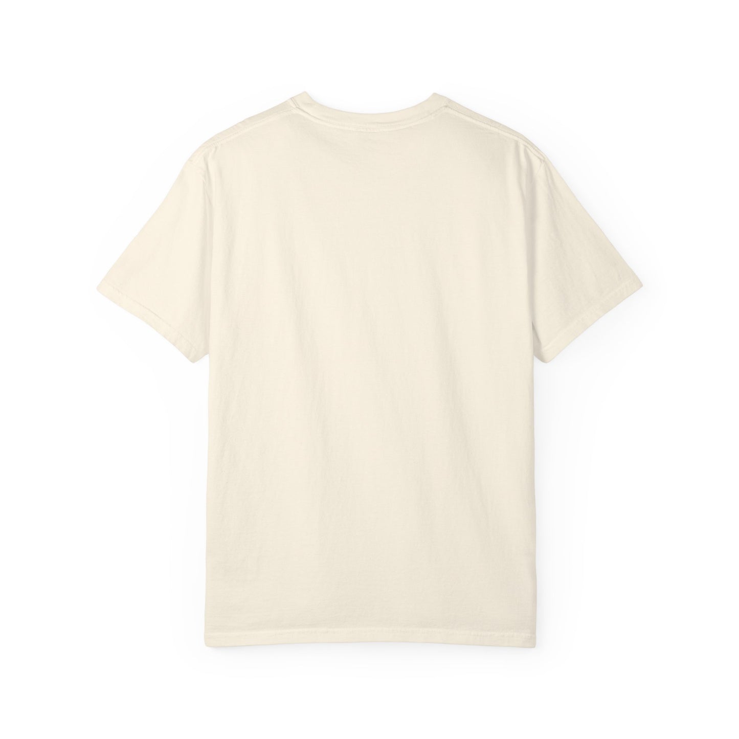 I  BBLs T-Shirt — Funny Cosmetic Surgery Graphic Tee