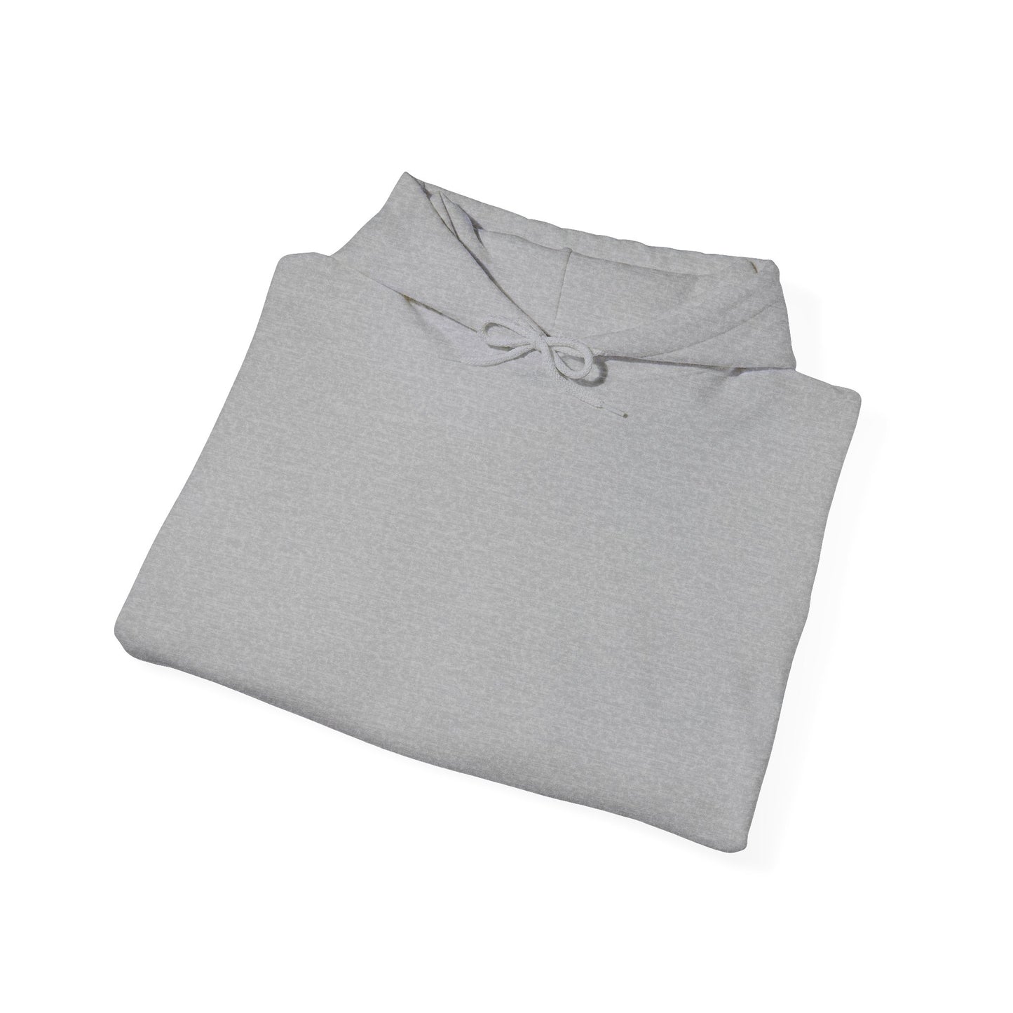 Graphic Hoodie — "I Love Bad Bitches" Bold Statement Sweatshirt