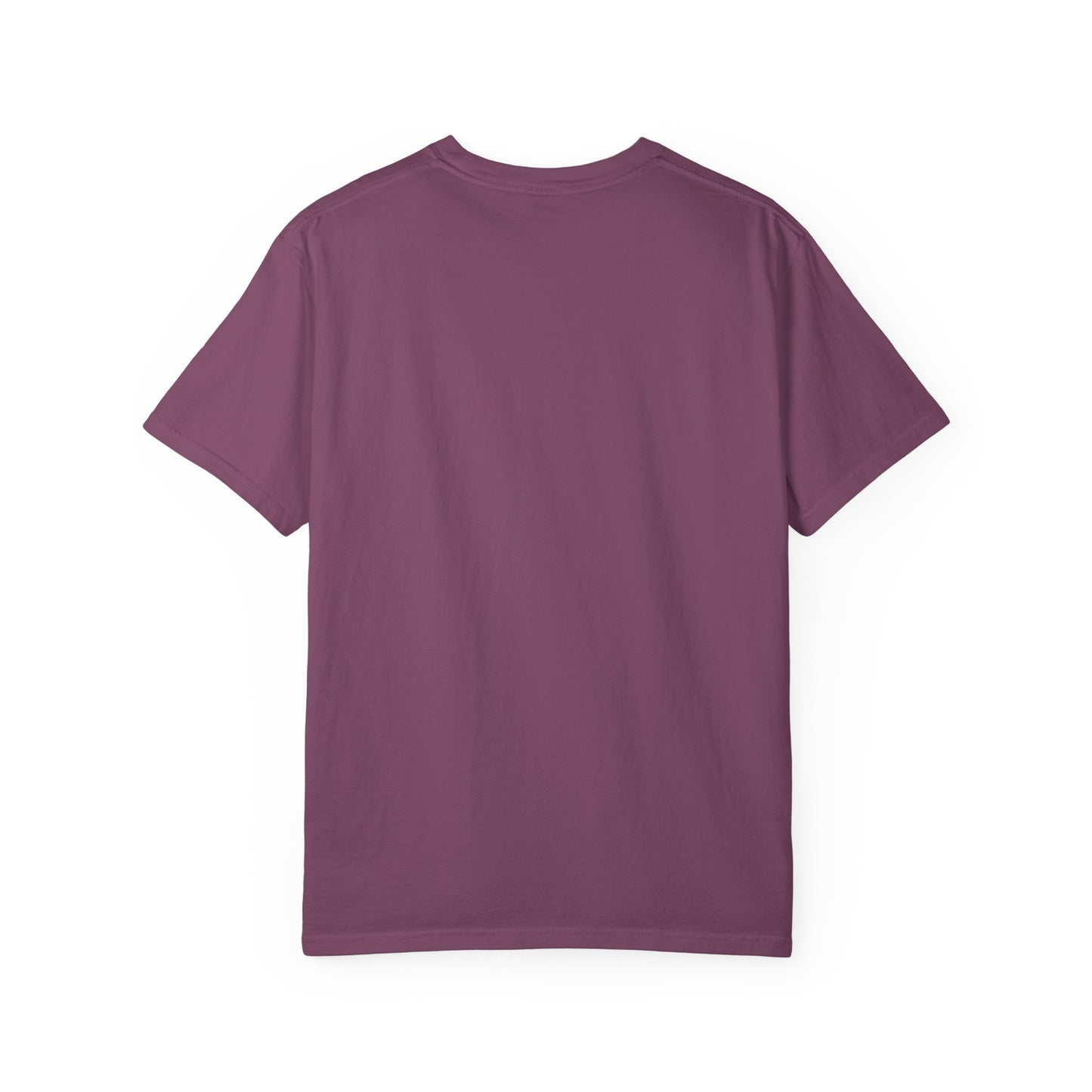 I  BBLs T-Shirt — Funny Cosmetic Surgery Graphic Tee